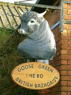 British Bazadaise sign at Goose Green Farm. British Bazadaise Herd sign.